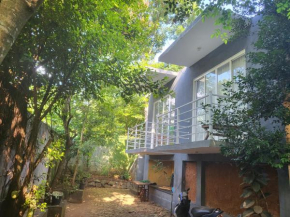 Hasthi homestay